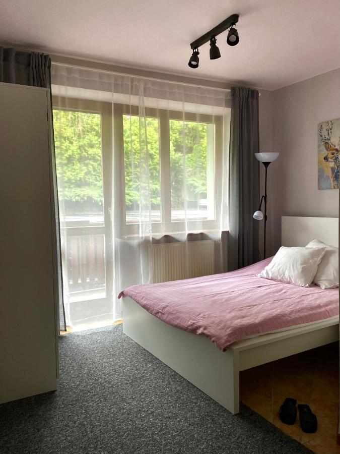 Willa Ewa Krynica-Zdrój Extérieur photo
