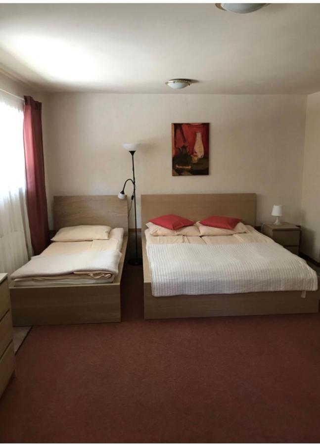 Willa Ewa Krynica-Zdrój Extérieur photo