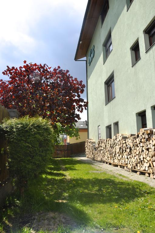 Willa Ewa Krynica-Zdrój Extérieur photo