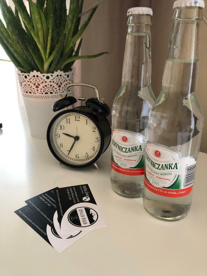 Willa Ewa Krynica-Zdrój Extérieur photo